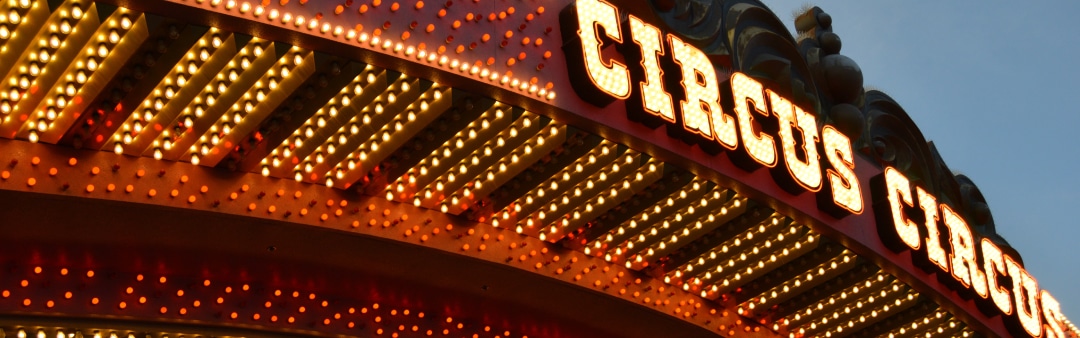 Showcase circusvoorstelling | Circus Rotjeknor (4+)